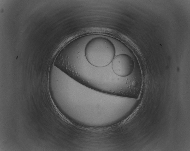 X0000087511033200704270748