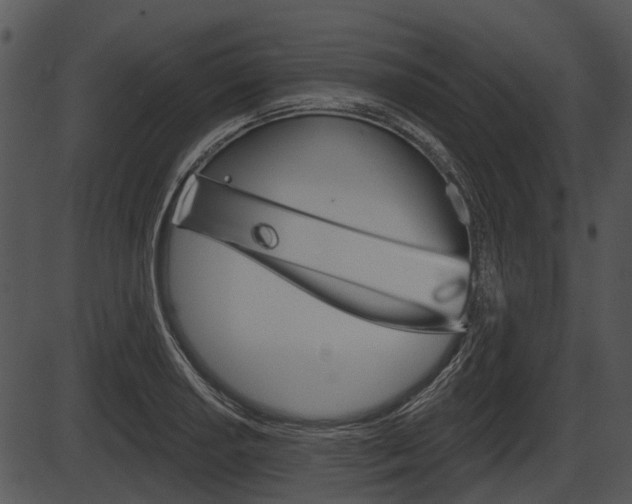 X0000087511034200704270748
