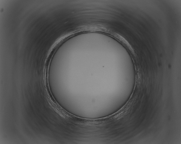 X0000087511035200704270748