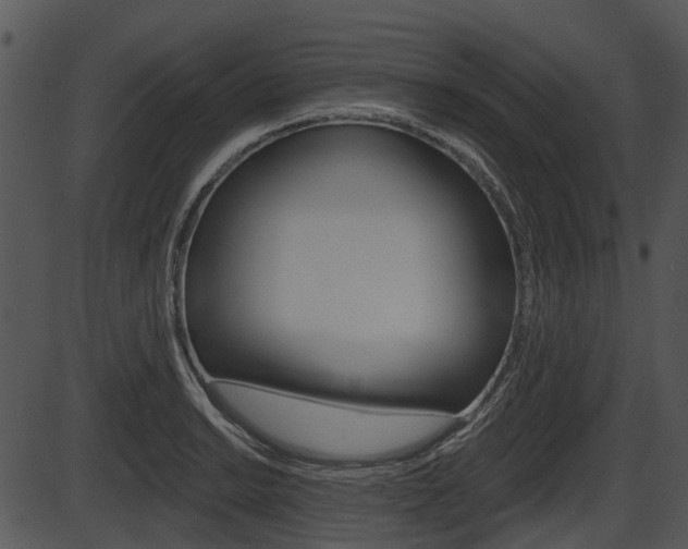 X0000087511038200704270749