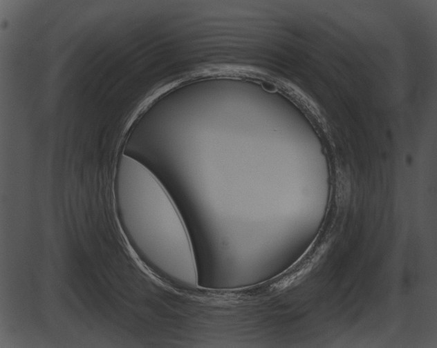 X0000087511041200704270749