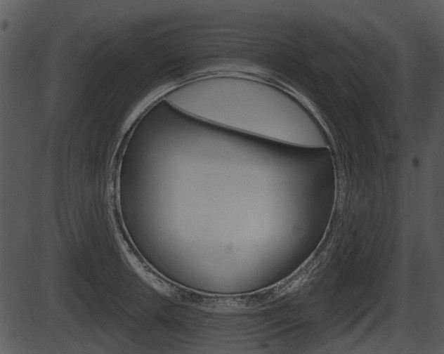 X0000087511042200704270749