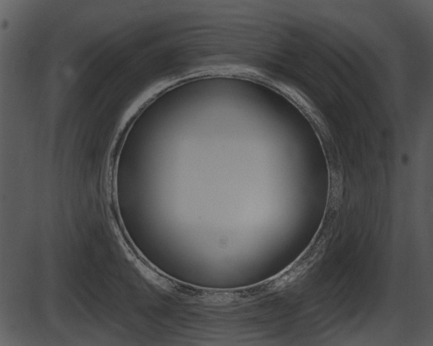 X0000087511046200704270749