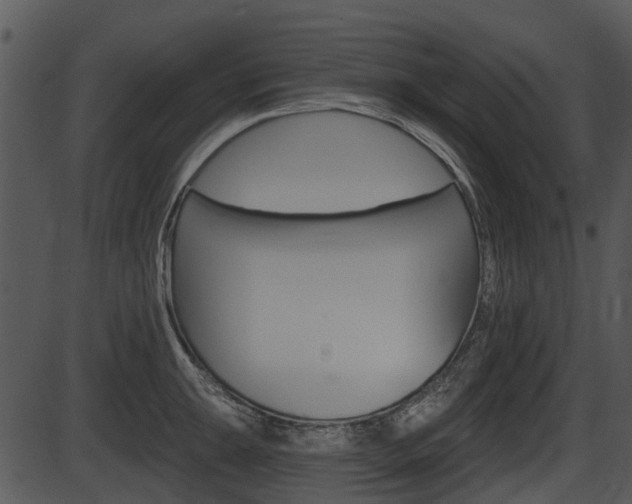 X0000087511047200704270749