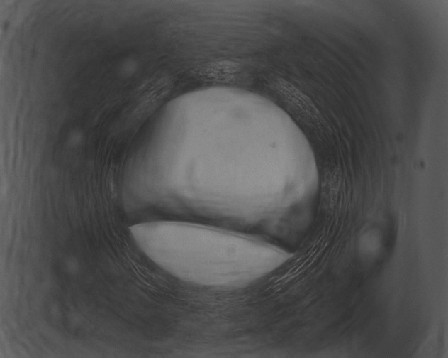X0000087511058200704270748
