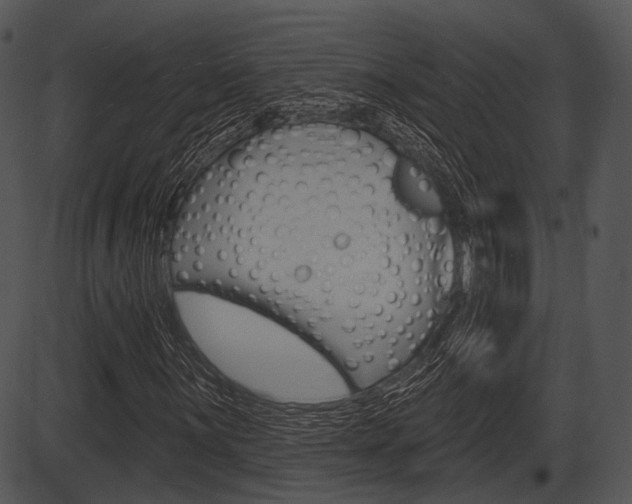 X0000087511059200704270748
