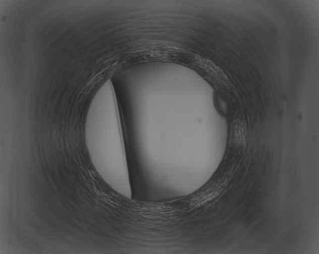X0000087511060200704270748