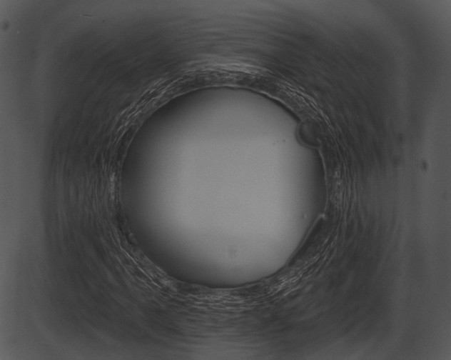 X0000087511061200704270748