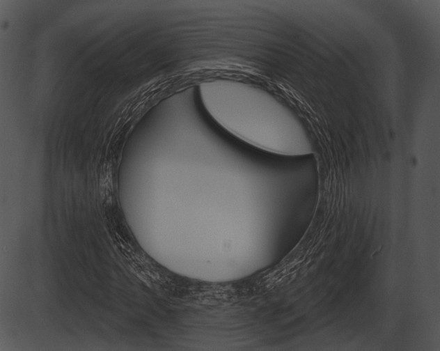 X0000087511062200704270748