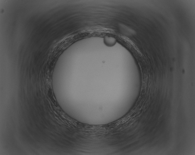 X0000087511063200704270748