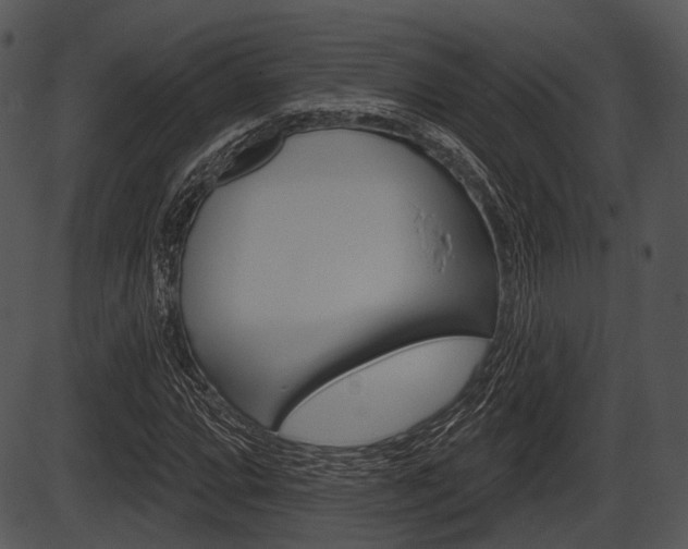 X0000087511064200704270748