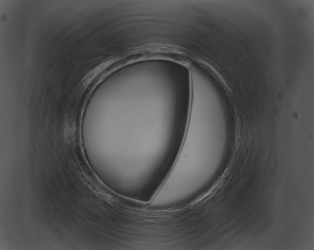 X0000087511065200704270748