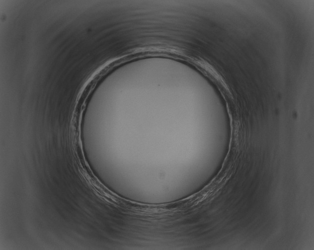 X0000087511068200704270748