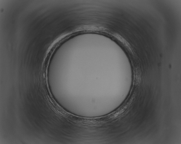 X0000087511070200704270748