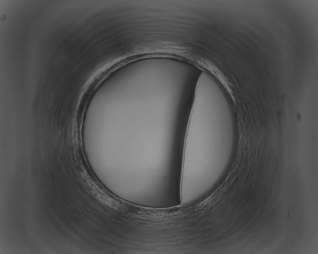 X0000087511072200704270748