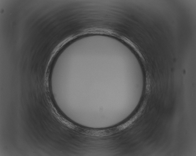 X0000087511074200704270748