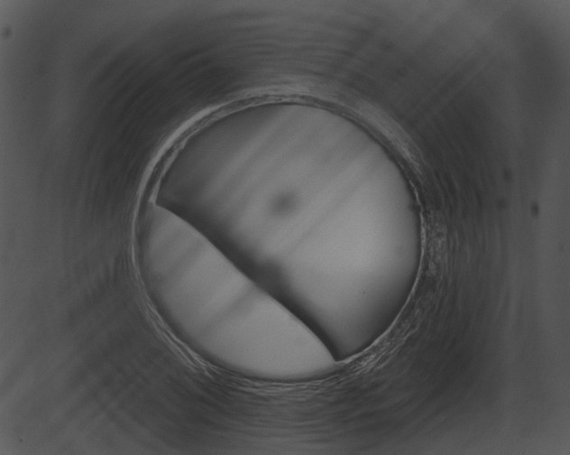 X0000087511076200704270748
