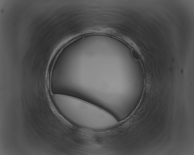 X0000087511080200704270748
