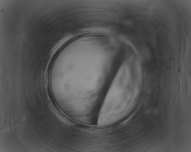 X0000087511082200704270748