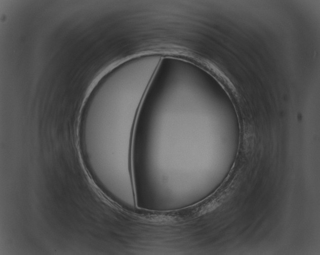 X0000087511085200704270748