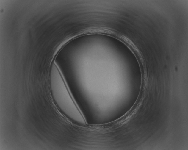 X0000087511089200704270748