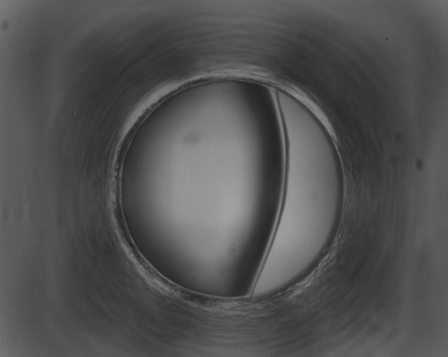 X0000087511093200704270747