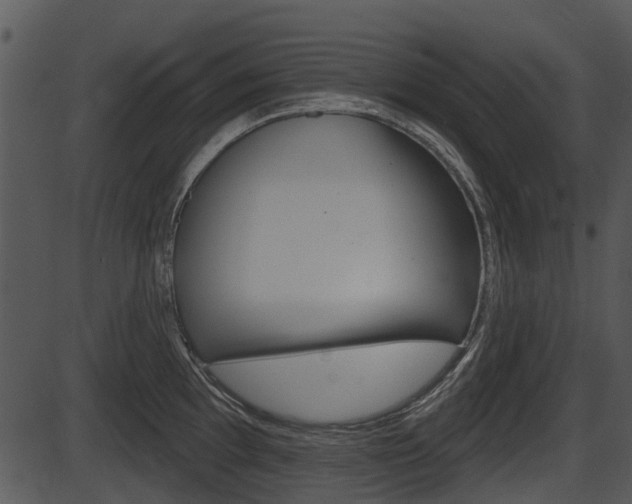 X0000087511097200704270747
