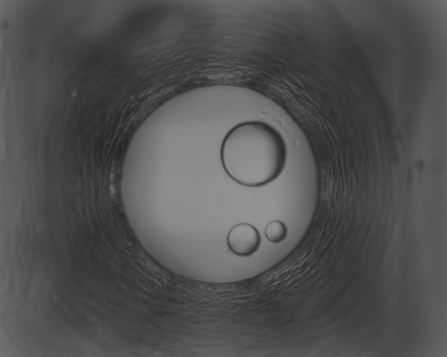X0000087511106200704270747