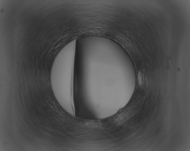 X0000087511107200704270747