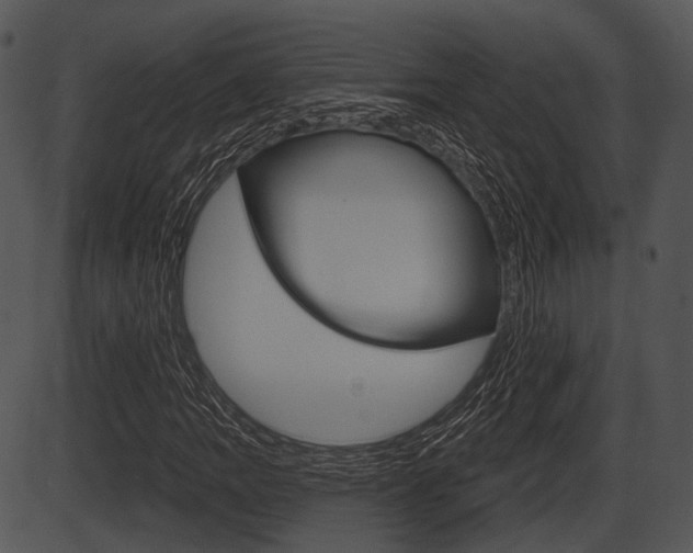 X0000087511109200704270747