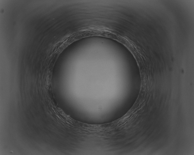 X0000087511110200704270747