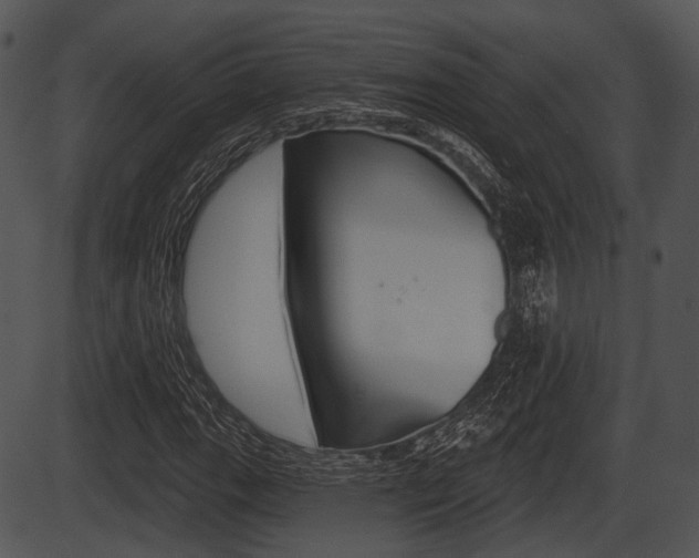 X0000087511111200704270747
