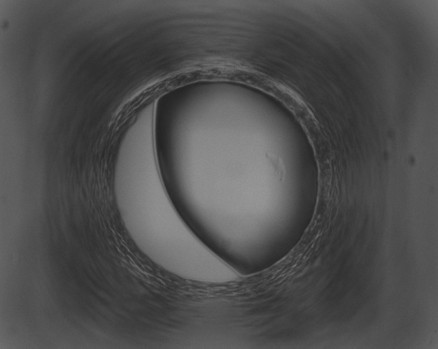 X0000087511112200704270747