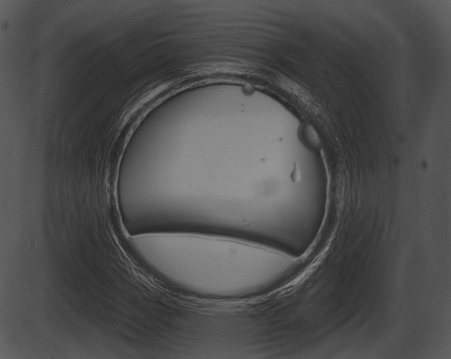X0000087511113200704270747