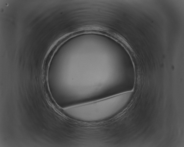 X0000087511116200704270747