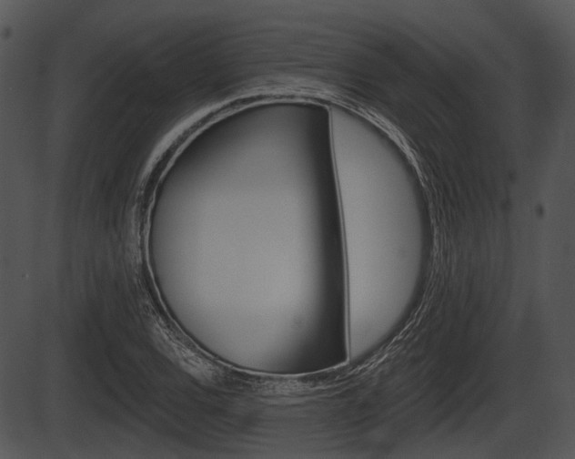 X0000087511120200704270747