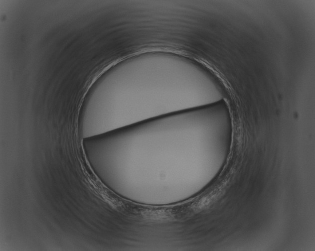 X0000087511121200704270747