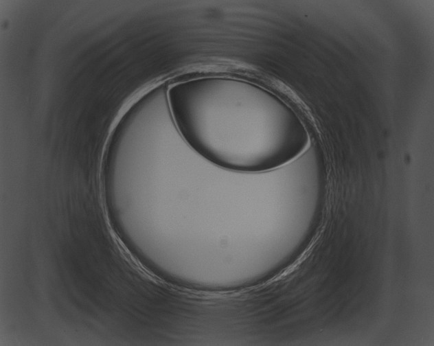 X0000087511122200704270747