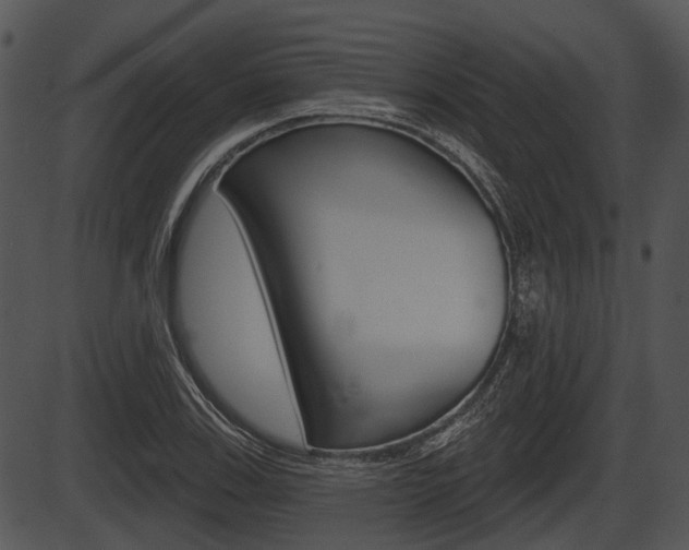 X0000087511123200704270747