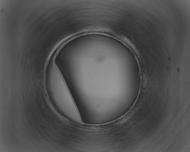X0000087511124200704270747