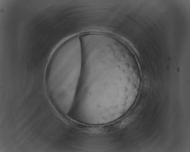 X0000087511125200704270747