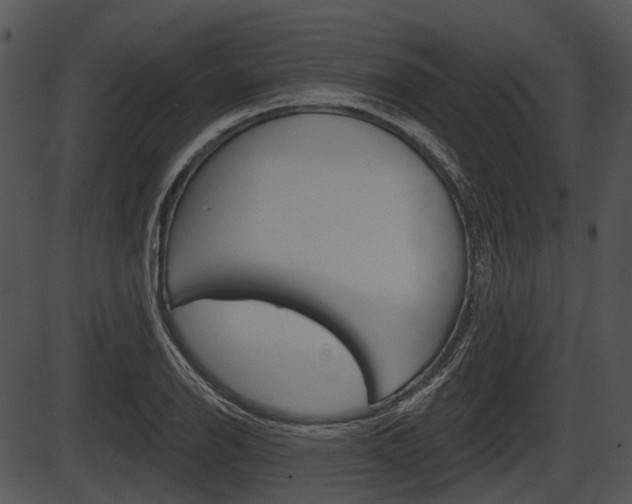 X0000087511126200704270747