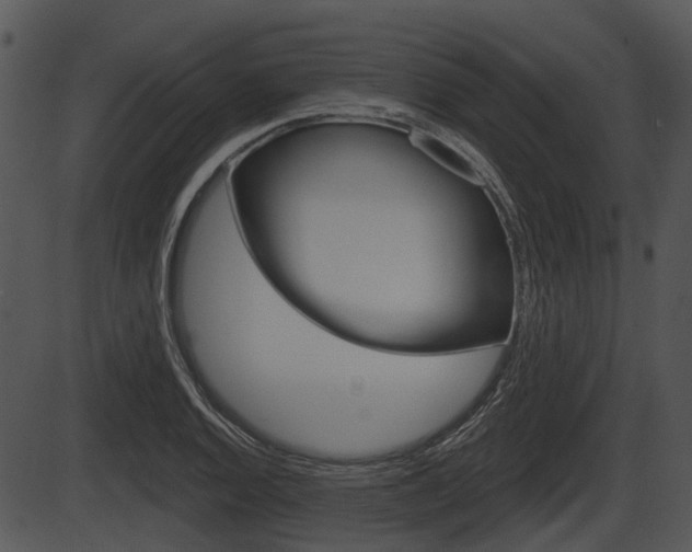 X0000087511128200704270747