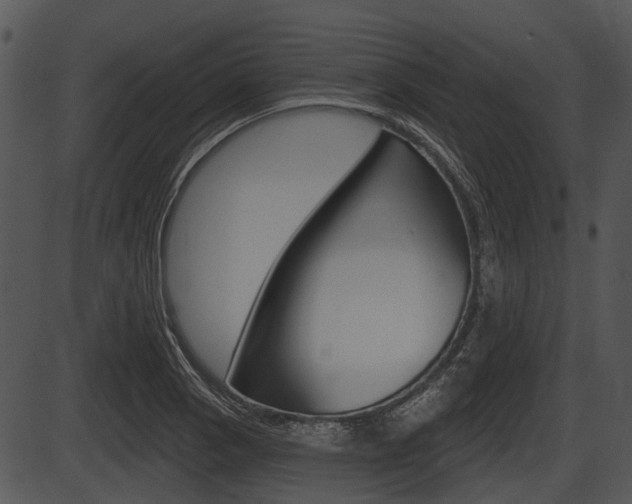 X0000087511129200704270747