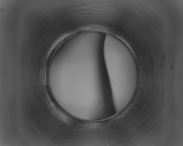 X0000087511131200704270747