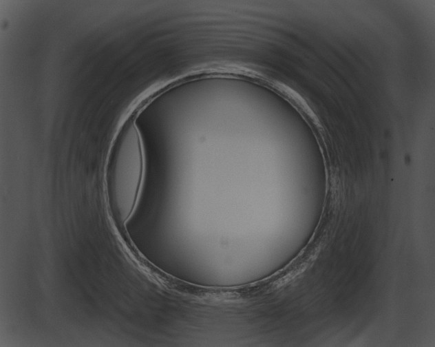 X0000087511133200704270747