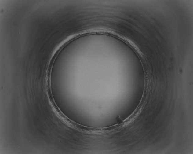 X0000087511134200704270747