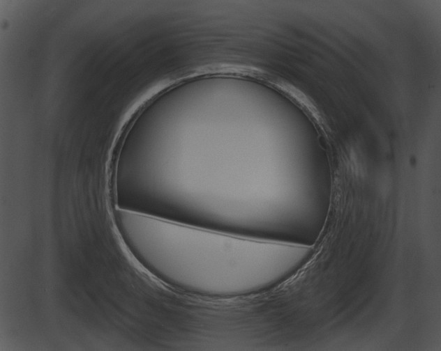 X0000087511135200704270747