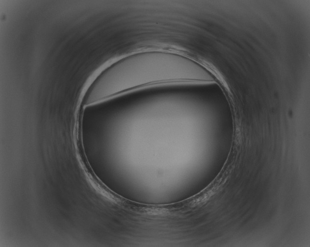 X0000087511136200704270747