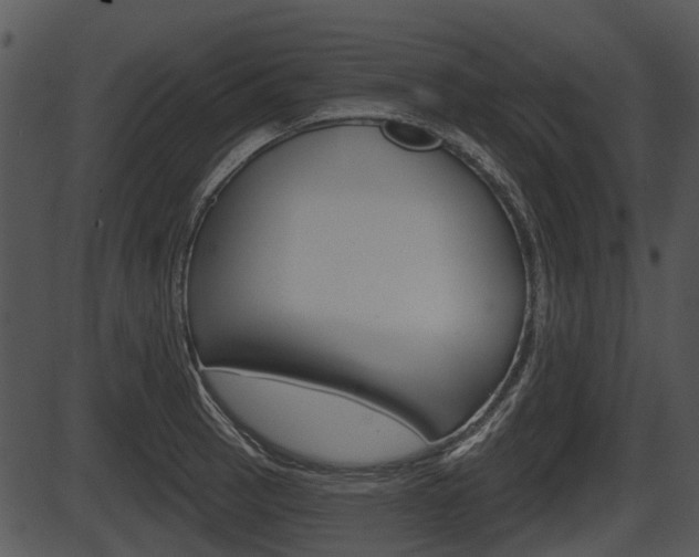 X0000087511137200704270747